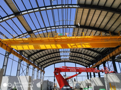 20ton puente grua