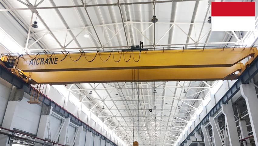 European-Standard-Overhead-crane