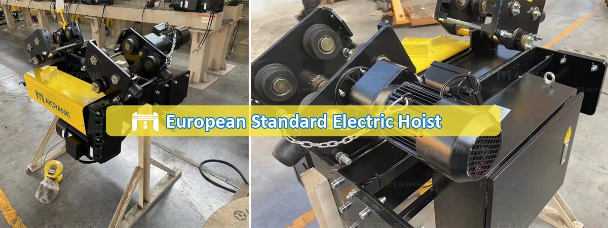 aicrane-electric-hoist-in-Israel