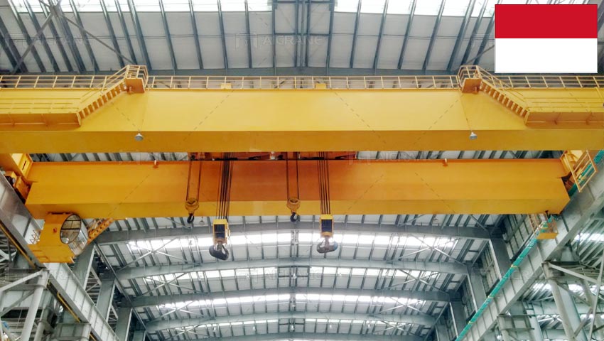 double-girder-overhead-crane-in-Indonesia