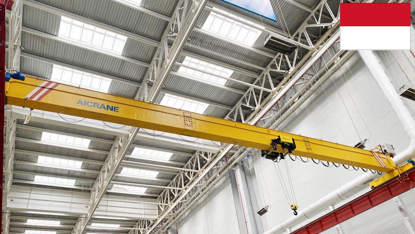 single-girder-overhead-crane-in-Indonesia