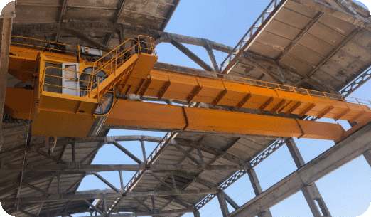 overhead crane case