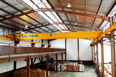 10t-eot-crane-SG02