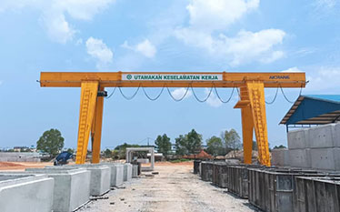 10t-gantry-crane-0909